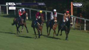Video preview image for Exeter 13:35 - Virgin Bet Novices' Limited Handicap Chase (3)