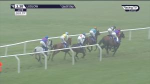 Video preview image for Ludlow 14:30 - George Rickards 30th Birthday Mares' Handicap Hurdle (3)