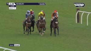 Video preview image for Newbury 14:20 - BetVictor Proud Sponsors Of Newbury Juvenile Hurdle (Qualifier) (4)