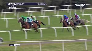 Video preview image for Newbury 14:55 - Focus Mares' Novices' Handicap Chase (4)