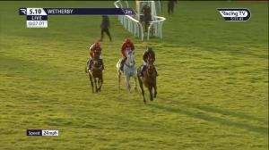 Video preview image for Wetherby 17:10 - wetherbyracing.co.uk Open National Hunt Flat (Qualifier) (5)