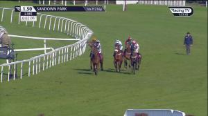 Video preview image for Sandown Park 13:50 - Spectra Group 'National Hunt' Novices' Hurdle (4)