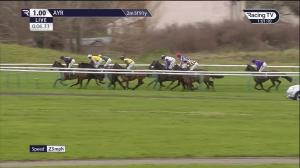 Video preview image for Ayr 13:00 - Virgin Bet Mares' Handicap Hurdle (Qualifier) (4)