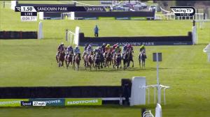 Video preview image for Sandown Park 13:50 - European Breeders' Fund Paddy Power 'National Hunt' Novices' Handicap Hurdle Final (Grade 3) (1)