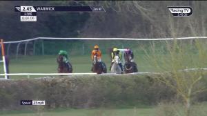 Video preview image for Warwick 14:45 - EBF Mares' Novices' Chase (Qualifier) (3)