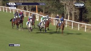 Video preview image for Exeter 16:11 - Totnes and Bridgetown Races Company Ltd Novices' Hunters' Chase (6)