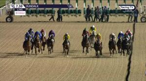 Video preview image for Dundalk 19:30 - Flootlit Friday Nights At Dundalk Stadium Handicap