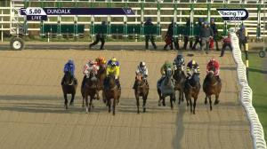 Video preview image for Dundalk 17:00 - Winter Series Awards Day @dundalk_stadium Handicap