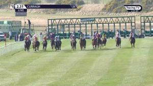 Video preview image for Curragh 14:31 - Cavalor Equine Nutrition Fillies Maiden