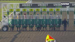 Video preview image for Kempton Park 15:55 - Try Our New Price Boosts At Unibet Handicap (Qualifier) (2)