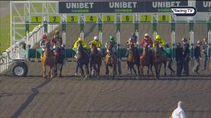 Video preview image for Kempton Park 15:20 - Unibet 3 Uniboosts A Day Novice Stakes (4)