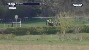Video preview image for Warwick 16:25 - Air Wedding Open Hunters' Chase (6)