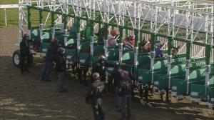 Video preview image for Chelmsford City 17:10 - Ministry Of Sound Disco 20th August Handicap (6) (Div 1)