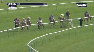 Video preview image for Ayr 14:55 - Remus Uomo Handicap Hurdle (3)