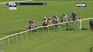 Video preview image for Ayr 17:15 - Golf Inn Prestwick Open National Hunt Flat (3)