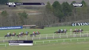 Video preview image for Limerick 13:20 - Molly's Late Bar Maiden Hurdle