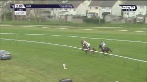 Video preview image for Ayr 14:05 - Every Race Live On Racing TV Handicap Chase (4)