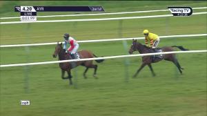 Video preview image for Ayr 16:20 - Racing TV Profits Returned To Racing Novices' Limited Handicap Chase (3)