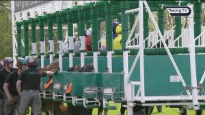 Video preview image for Newbury 15:00 - Watership Down Stud Too Darn Hot Greenham Stakes (Group 3) (1)