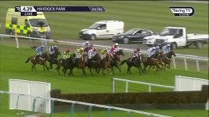 Video preview image for Haydock Park 16:29 - Challenger Stayers Hurdle Series Final Handicap Hurdle (2)