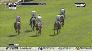 Video preview image for Perth 14:25 - William Hill Balnakeilly Novices' Limited Handicap Chase (3)