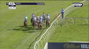 Video preview image for Perth 16:41 - Canine Partners Mares' Handicap Hurdle (4)
