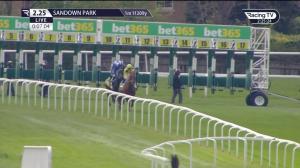 Video preview image for Sandown Park 14:25 - Bet365 Gordon Richards Stakes (Group 3) (1)