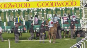 Video preview image for Goodwood 15:46 - Golf At Goodwood Handicap (5)