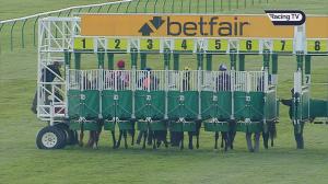 Video preview image for Newmarket 16:50 - Betfair Exchange Handicap (3)