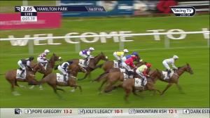 Video preview image for Hamilton Park 14:05 - Patersons Of Greenoakhill Buttonhook Handicap (3)