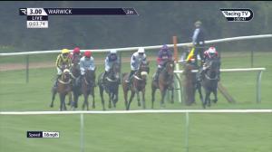 Video preview image for Warwick 15:00 - Tattersalls Ireland Store Sale 10th May Mares' 'National Hunt' Maiden Hurdle (4)