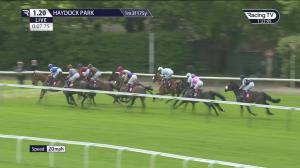 Video preview image for Haydock Park 13:20 - Pertemps Newton Handicap (5)