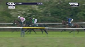 Video preview image for Warwick 17:10 - Professor John Robert Fyfe Bolton Obe Novices' Hurdle (4)