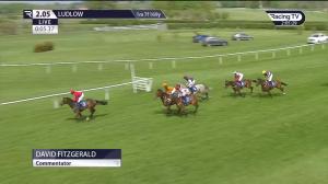 Video preview image for Ludlow 14:05 - Cameron "Cam" Hitchins Memorial Novices' Hurdle (4)