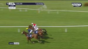 Video preview image for Ludlow 15:40 - Welsh Guards Association David Scrumpy Lewis Handicap Hurdle (3)