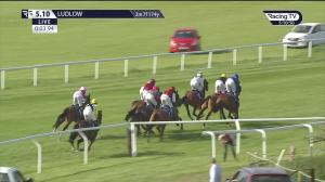 Video preview image for Ludlow 17:10 - Heath Farm Meats Novices' Handicap Hurdle (5)