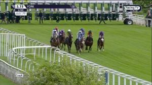 Video preview image for York 17:15 - British Stallion Studs EBF Novice Stakes (2)
