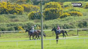 Video preview image for Wexford 16:15 - Freddie Doyle Memorial Novice Chase