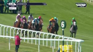 Video preview image for Goodwood 14:45 - William Hill Pick Your Places Handicap (2)