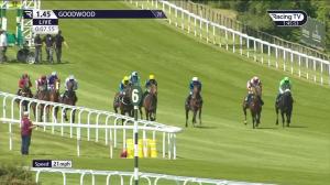 Video preview image for Goodwood 13:45 - William Hill Harroways Handicap (2)