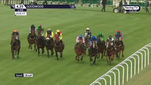 Video preview image for Goodwood 16:35 - St Roche's Hill Handicap (4)