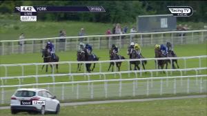 Video preview image for York 16:42 - Yorkshire Regiment Handicap (3)