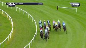 Video preview image for Wexford 18:15 - Calor Gas Handicap Hurdle (Div 1)