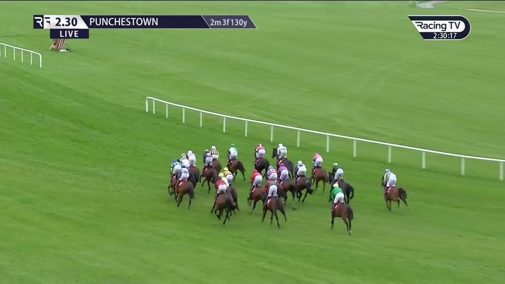 Easy Fella Ire Race Record Statistics Wins Racing TV easy-fella-ire-race-record-statistics-wins-racing-tv