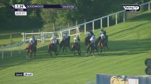 Video preview image for Goodwood 19:34 - William Hill Play Responsibly Handicap (4)