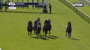 Video preview image for Salisbury 17:35 - H S Lester Memorial Challenge Cup Handicap (6)