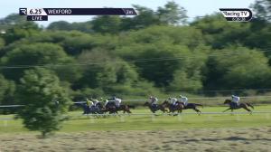 Video preview image for Wexford 18:25 - Boylesports Novice Hurdle