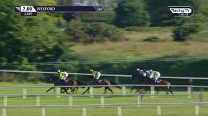 Video preview image for Wexford 19:00 - Adare Manor Opportunity Handicap Chase