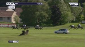 Video preview image for Ayr 16:54 - Gavin Dunsmore Memorial Classified Stakes (6)