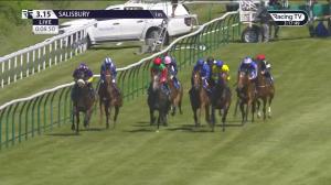 Video preview image for Salisbury 15:15 - Havana Grey Standing At Whitsbury Manor Handicap (2)